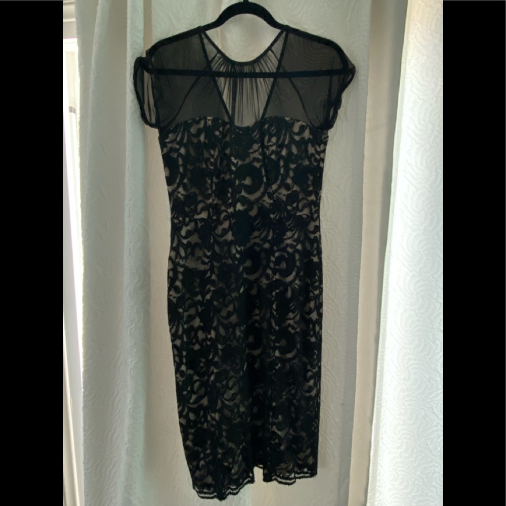 Lace and sheer Black and Tan dress